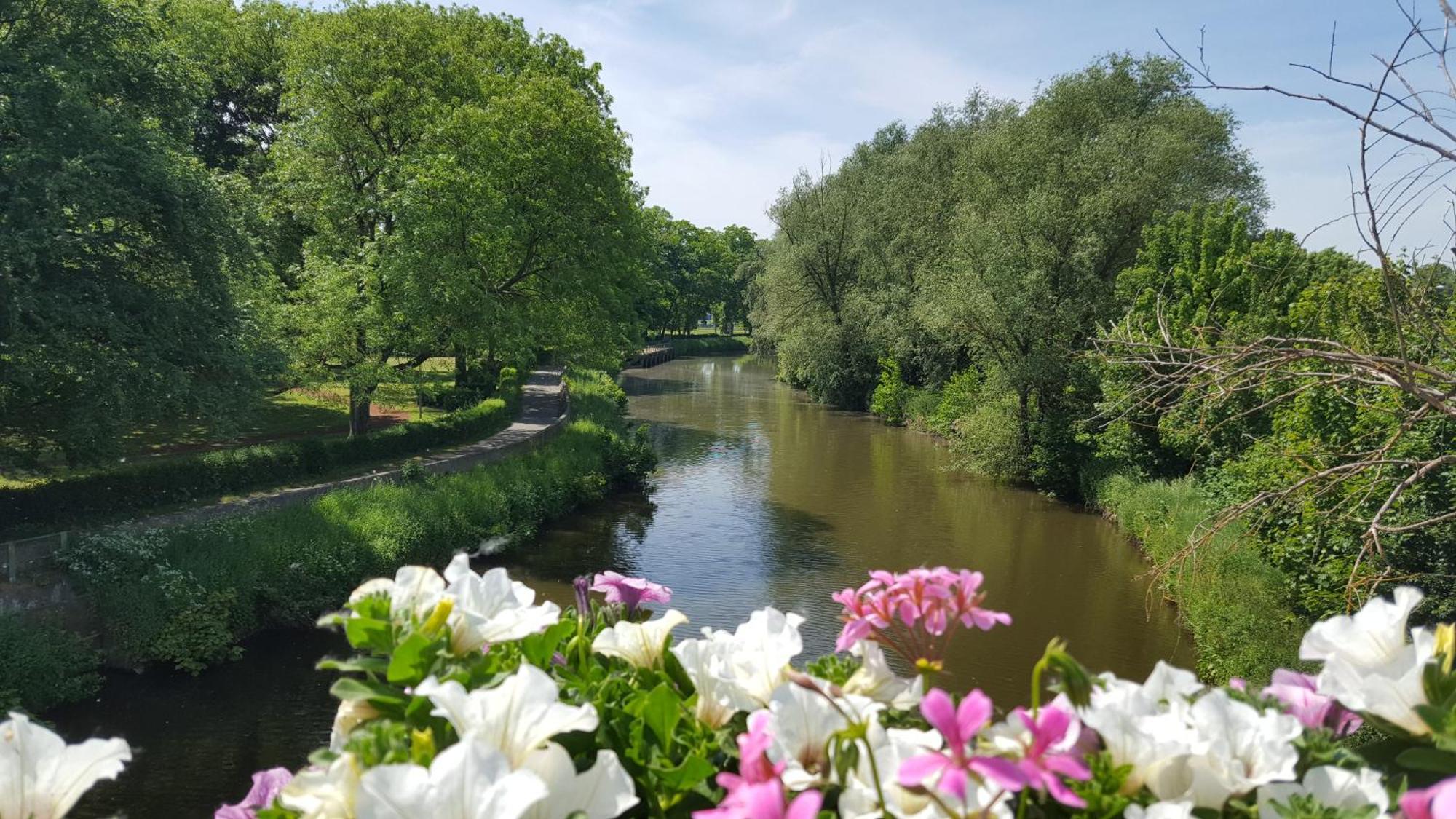 B&B Krieken De Jour Ninove Εξωτερικό φωτογραφία